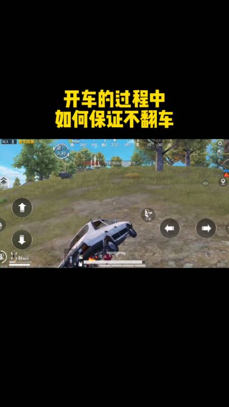 和平精英辅助【神眸】