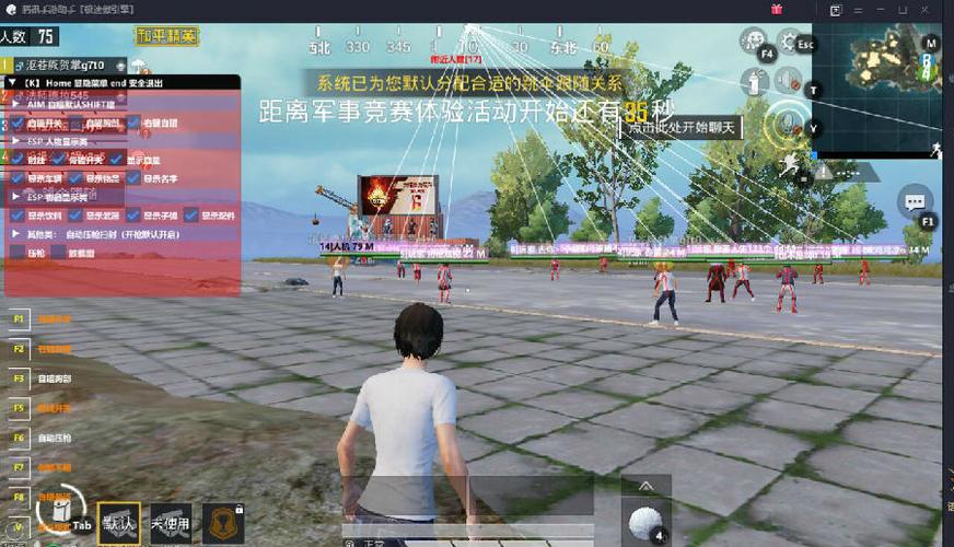 和平精英最新版辅助插件【AM内部】横空出世